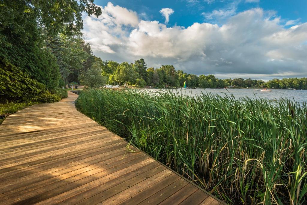 Готель Taboo Muskoka Ґрейвенгерст Екстер'єр фото