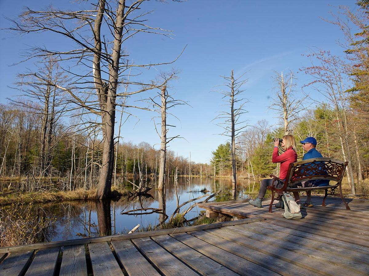 Готель Taboo Muskoka Ґрейвенгерст Екстер'єр фото